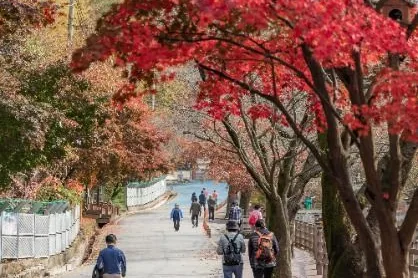 단풍이 절정에 든 관광지 산책로. 10월 마지막 주 전후의 모습이다. ⓒ