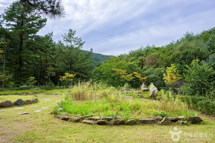 국립운악산자연휴양림 숲과 산책로