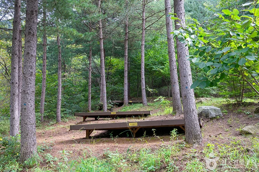 여름 — 국립운악산자연휴양림 솔숲의 평상 ⓒ한국관광공사 TourAPI