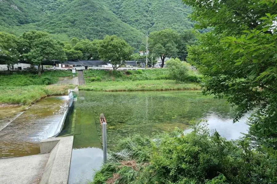 여름 — 운문면 계곡의 보와 물길. 여름이면 이 물을 보고 찾아오는 사람이 는다