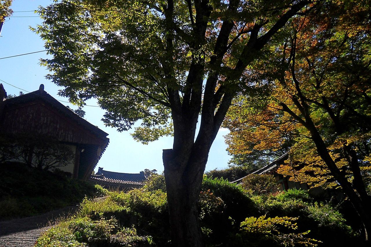 월악산 보덕암 전각과 나무
