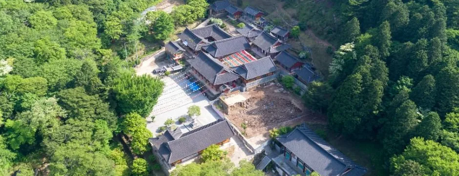 울창한 숲에 둘러싸인 고성 옥천사 가람을 하늘에서 내려다본 모습