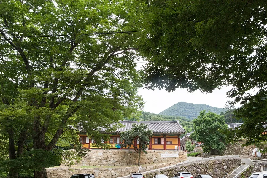 옥천사 앞에 세워진 차들과 그 너머 전각, 뒤로 솟은 연화산 능선