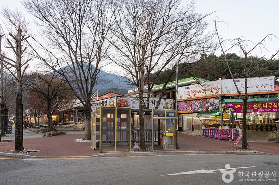 용문산 입구 토속음식마을. 은행나무를 내건 식당들이 늘어서 있다. ⓒ한국