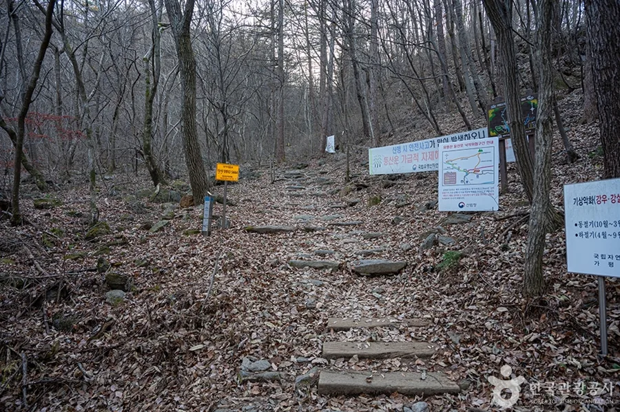 유명산 등산로 초입의 안내판과 돌계단