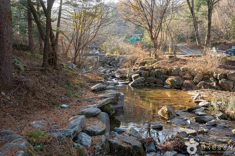 가을 — 잎이 지기 시작한 유명계곡 하류. 물가를 따라 산책로가 이어진다 ⓒ한국관