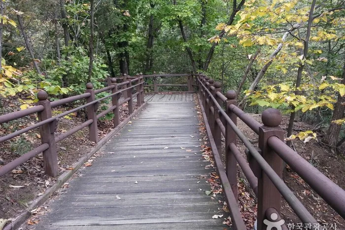 Wooden boardwalk through autumn forest on a low-level Bukhansan trail