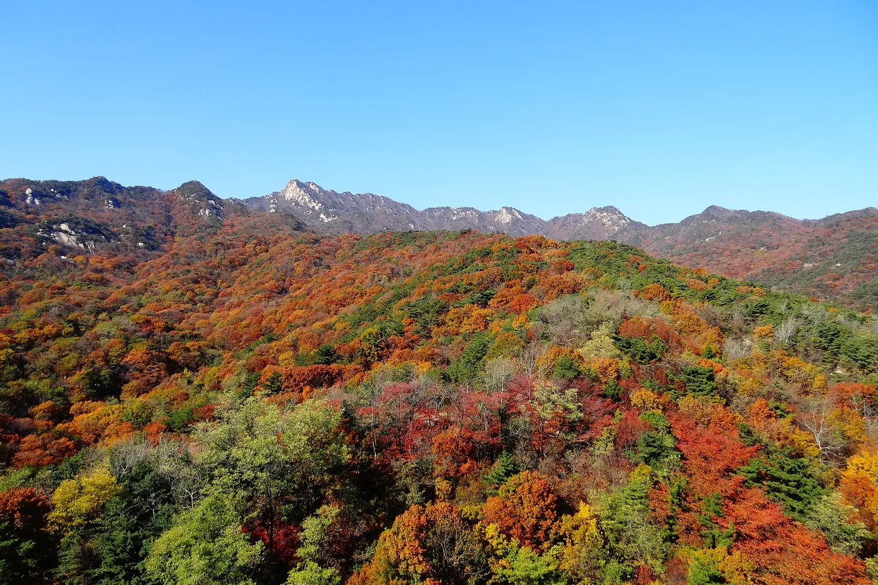 Autumn foliage on the southern slopes of Bukhansan