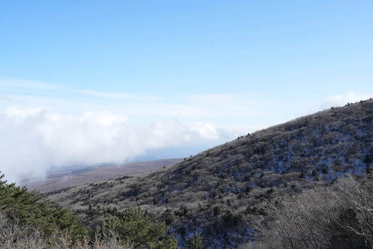 Frost-covered winter slope on Hallasan above a layer of cloud