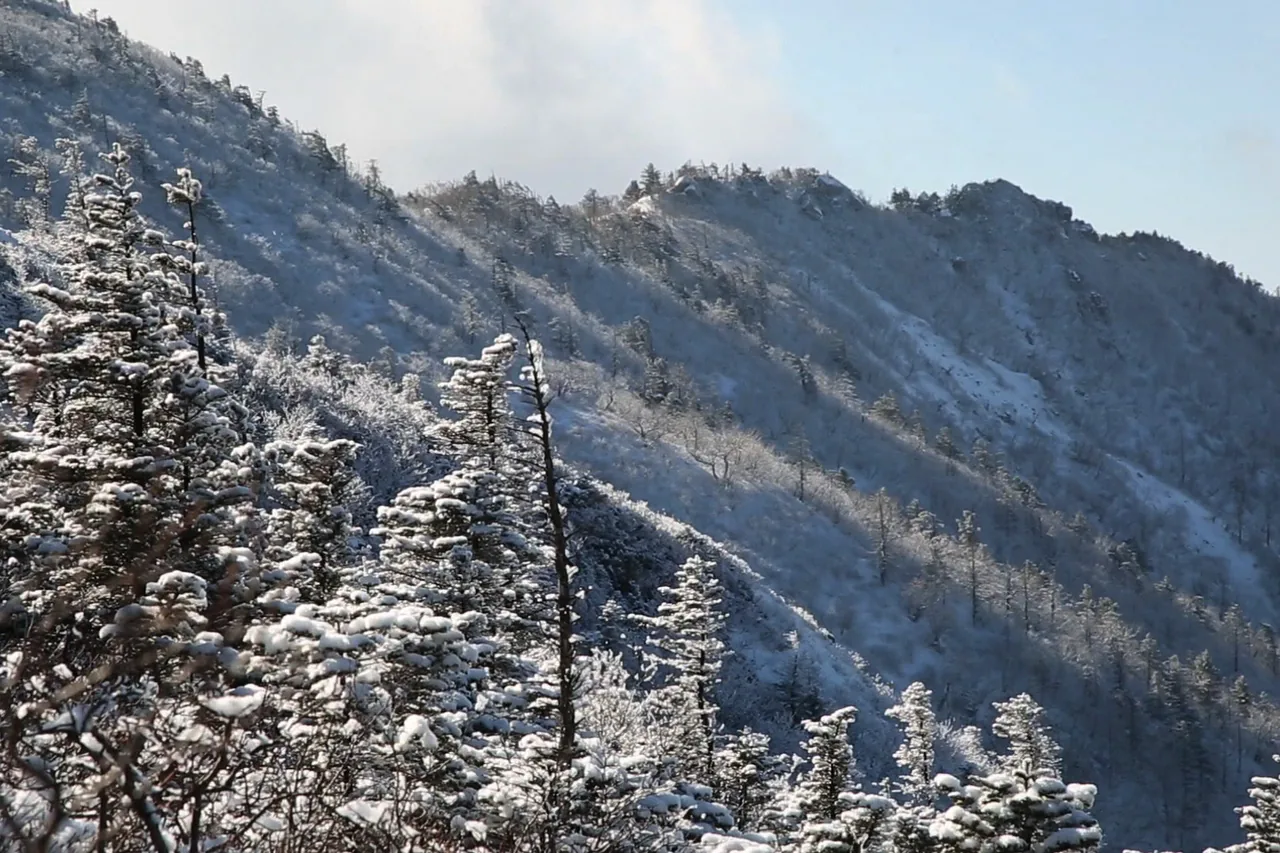 Snow-covered ridge and trees on Seoraksan in winter
