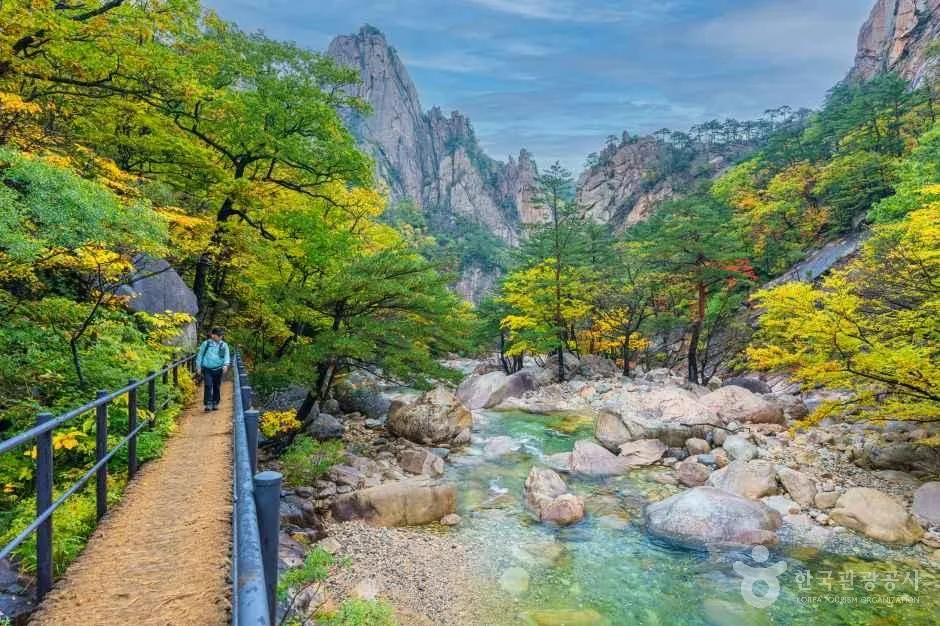 A hiker with a pack on a railed valley trail in Seoraksan National Park in autumn