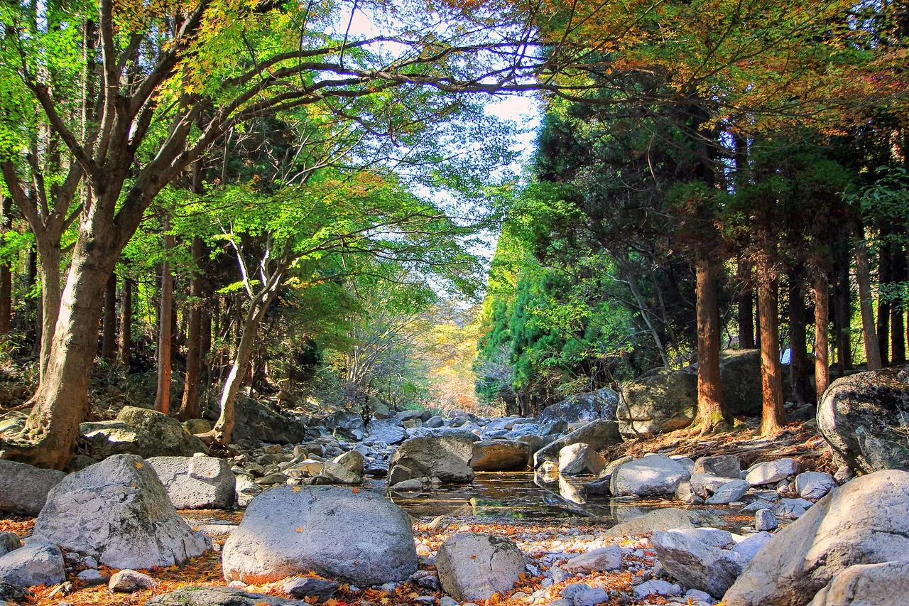 A stream running through the wooded Namchang valley at Naejangsan