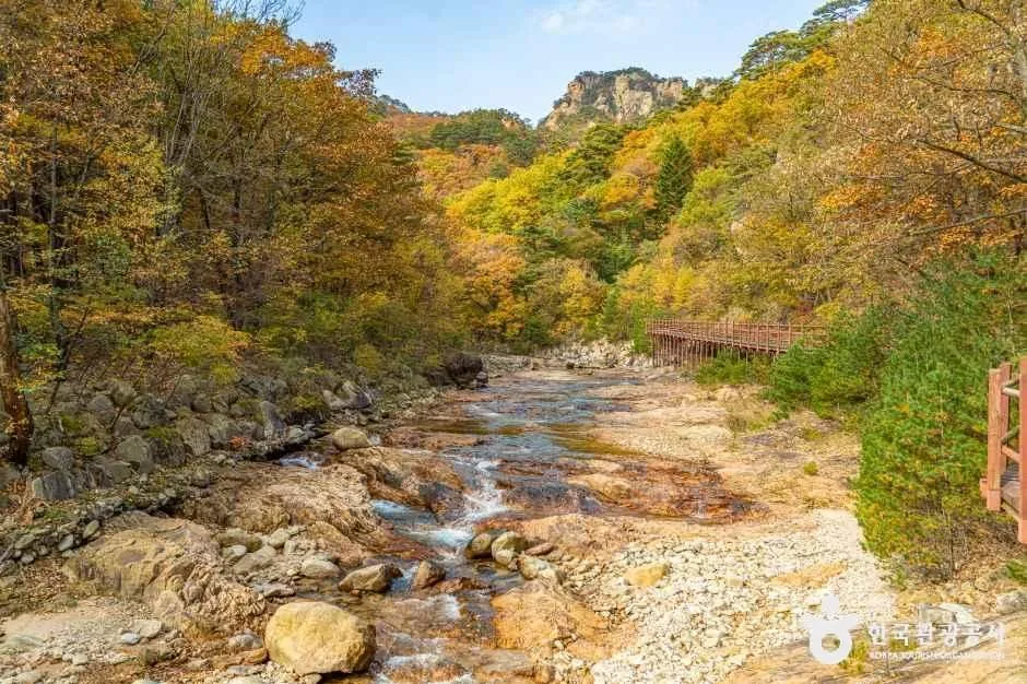 Autumn colour below granite cliffs in Seoraksan National Park