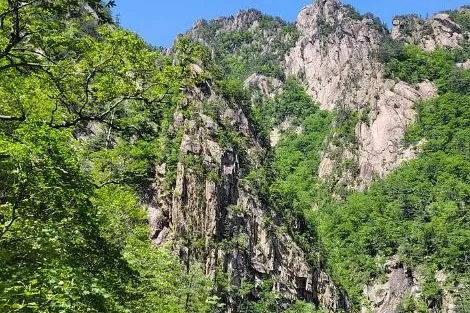 Snow-covered ridge and trees on Seoraksan in winter
