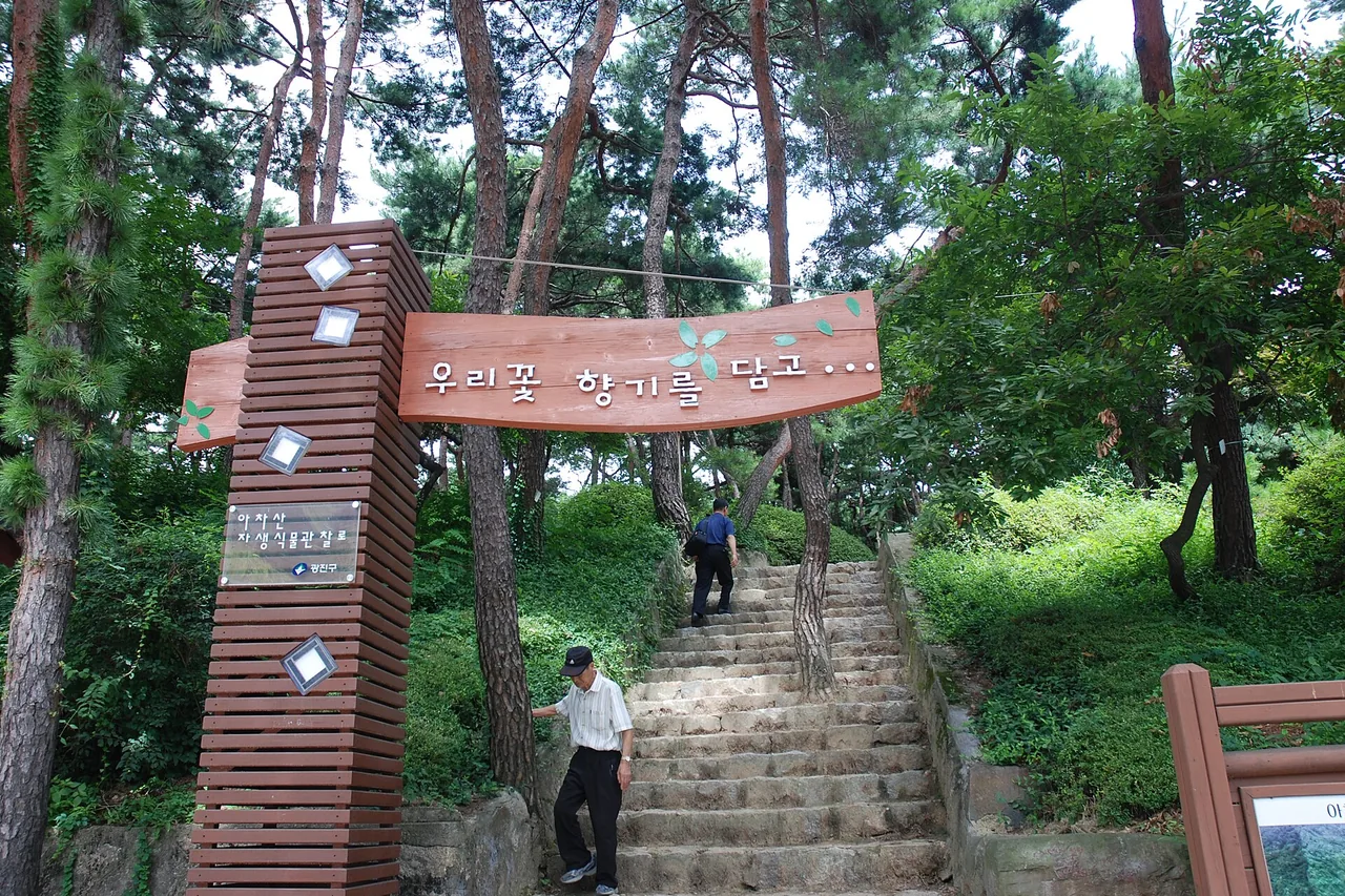 아차산 자생식물관찰로 입구 돌계단
