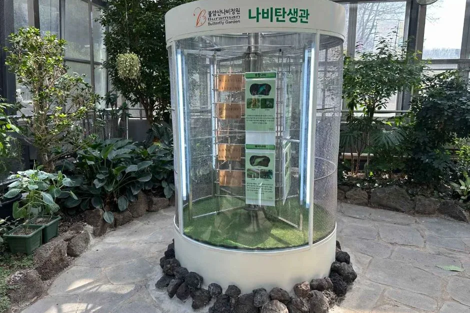 불암산나비정원 온실 내부 나비탄생관