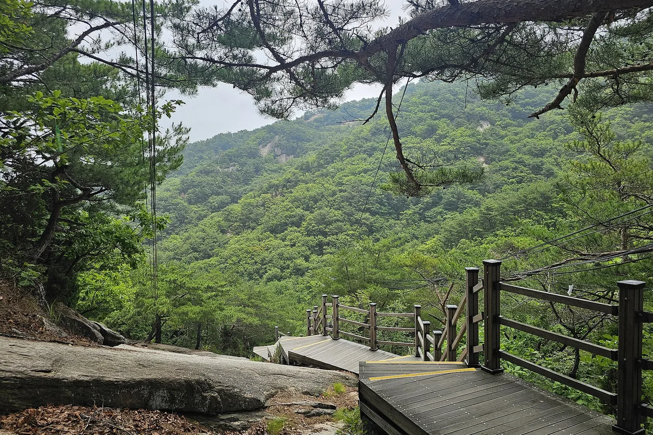 수락산 산허리의 나무데크 계단과 숲