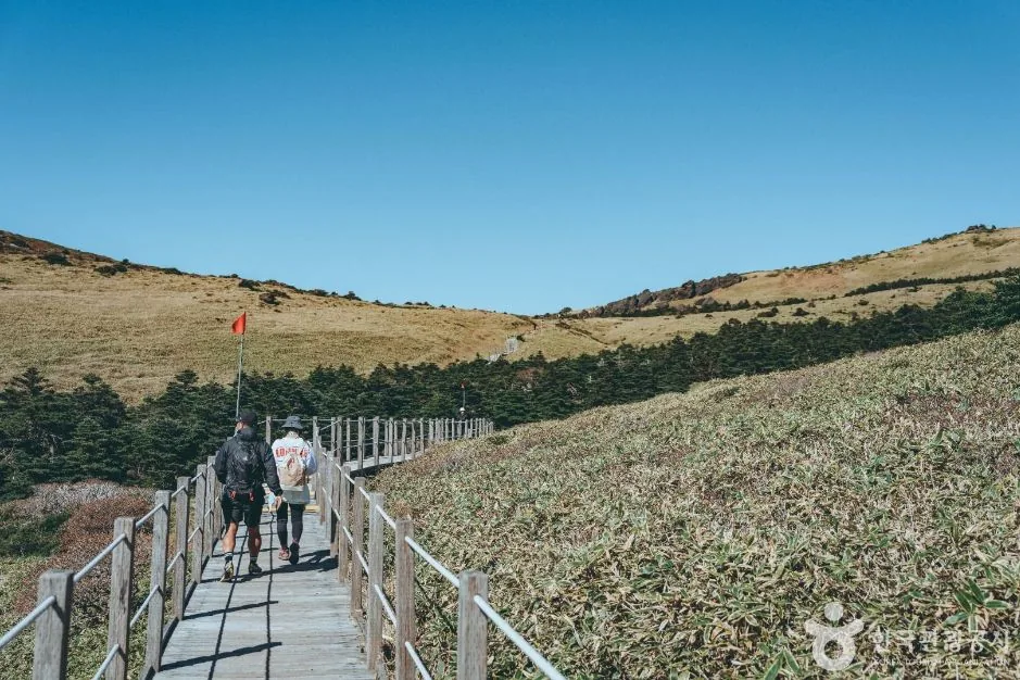 Boardwalk crossing the alpine plateau on Hallasan
